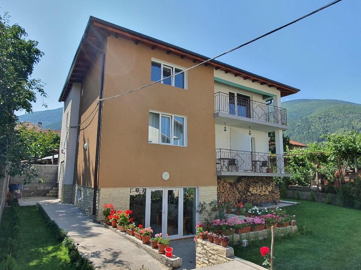 Дамяновата Къща Villa Sapareva Banya Luaran gambar